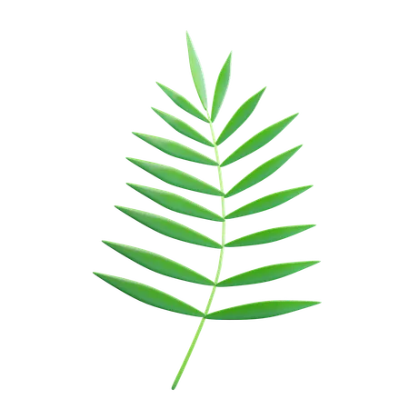 Green Tropical Leaves  3D Icon