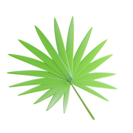 Green Tropical Leaves  3D Icon