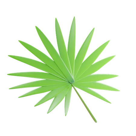 Green Tropical Leaves  3D Icon