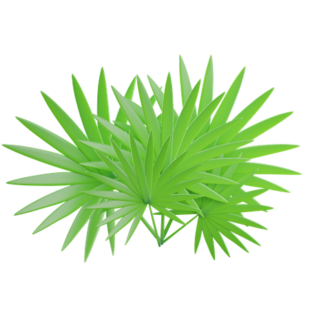 Green Tropical Leaves  3D Icon