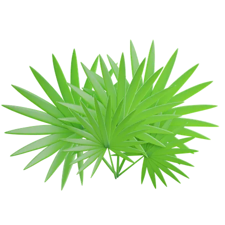 Green Tropical Leaves  3D Icon