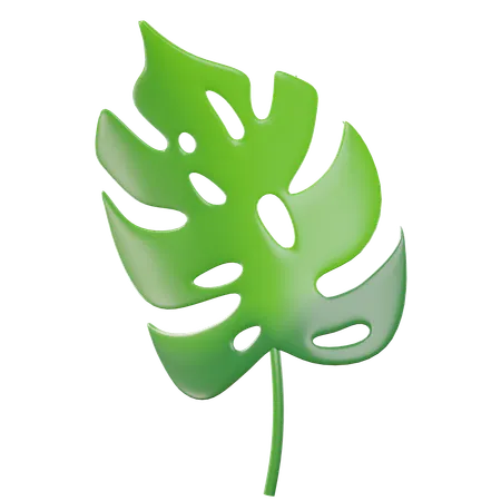 Green Tropical Leaves  3D Icon