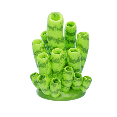 Green Tube Coral  3D Icon