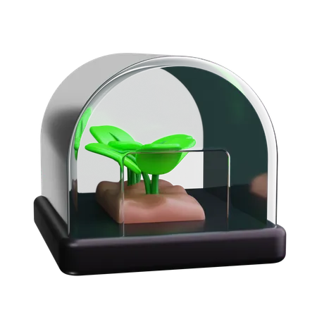 Greenhouse  3D Icon