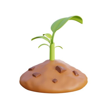 Grow plants  3D Icon