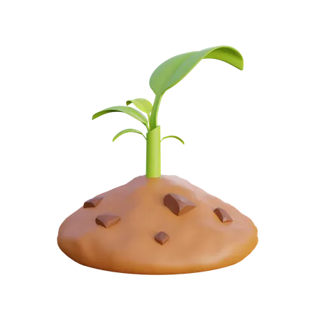 Grow plants  3D Icon