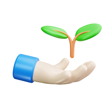 Grow trees  3D Icon