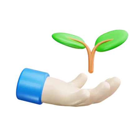 Grow trees  3D Icon