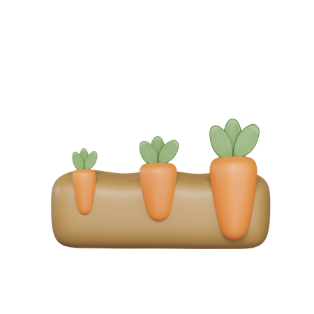 Growing Carrot  3D Icon