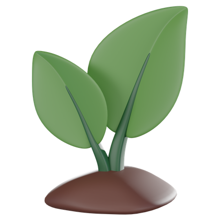 Growing Plant  3D Icon