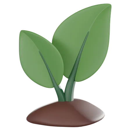 Nature Of A Growing Plant An Iconic Symbol Of Ecology And Sustainable Living Perfect For Environmental Concepts And Eco Friendly Designs 3 D Render Illustration 3D Icon