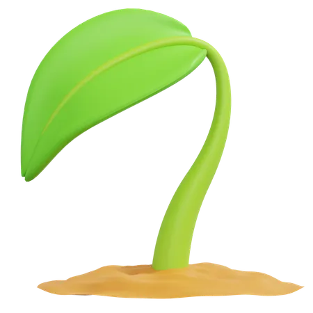 Growing Plant Spring Icon Illustration 3D Icon