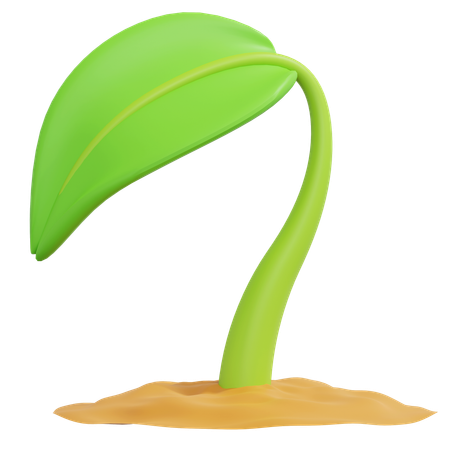 Growing Plant  3D Icon