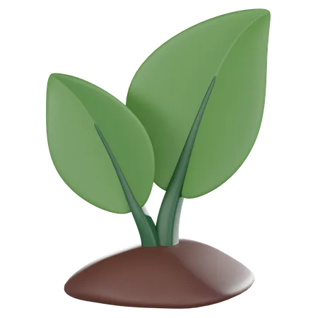 Growing Plant  3D Icon