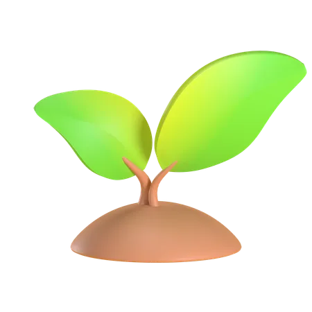 Growing Plant  3D Icon