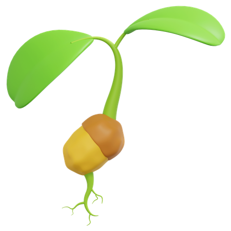 Growing Plant Seed  3D Icon