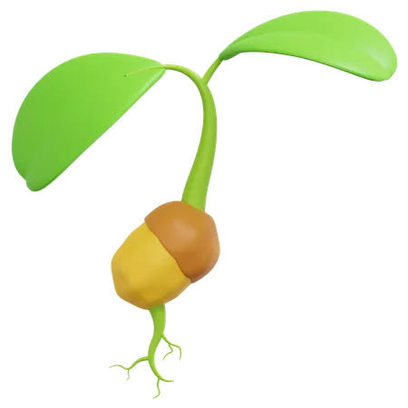 Little Plant Growing Seed Icon Illustration 3D Icon