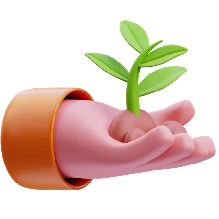 Growth  3D Icon