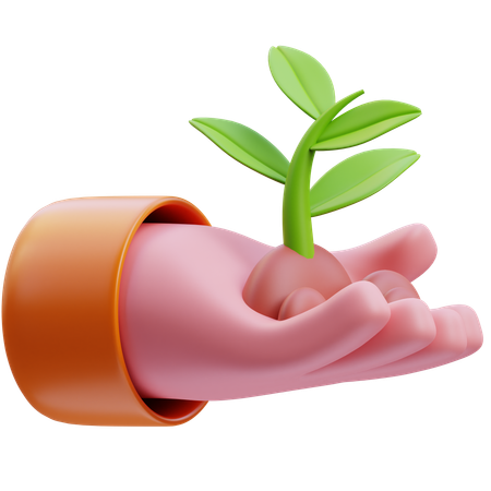 Growth  3D Icon