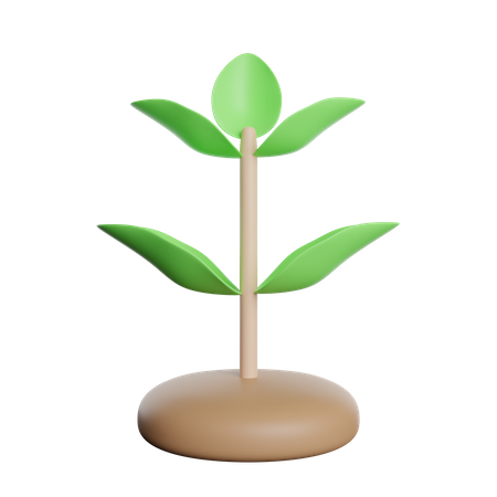 Growth Plant  3D Icon