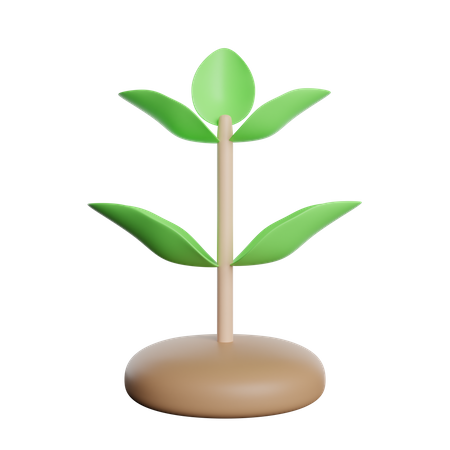 Growth Plant  3D Icon