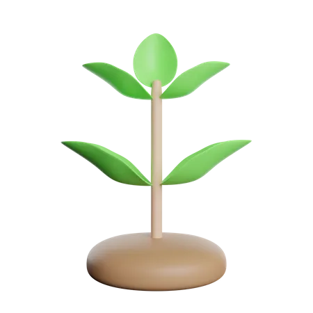 Growth Plant Green 3D Icon
