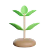 Growth Plant