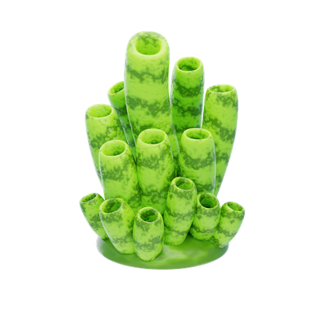 Grüne Röhrenkoralle  3D Icon