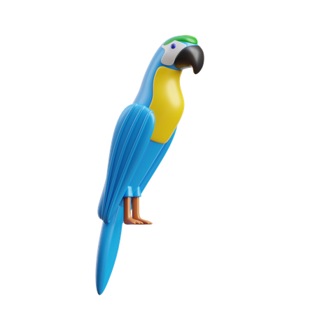 Guacamayo  3D Icon