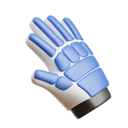 Guantes de cricket  3D Icon