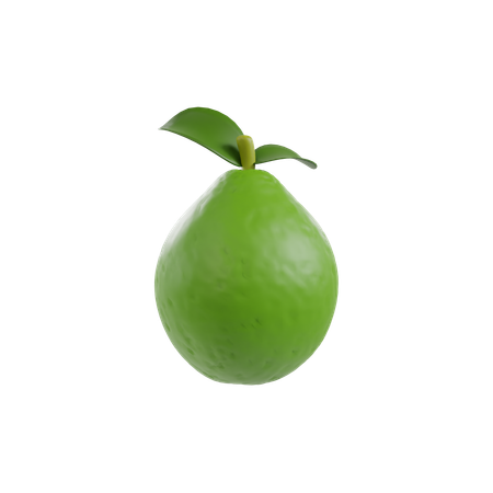 Guava  3D Illustration