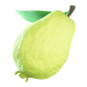 3d guava