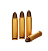 Gun Ammo