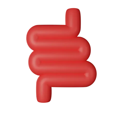 Gut  3D Icon