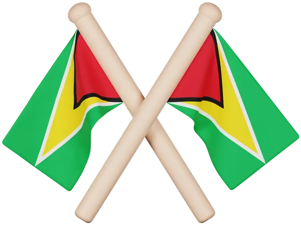 Guyana Flag  3D Icon