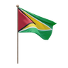 3d guyana flag logo
