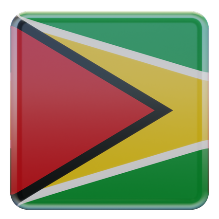 Guyana Square Flag  3D Icon