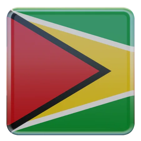 Guyana Square Flag  3D Icon