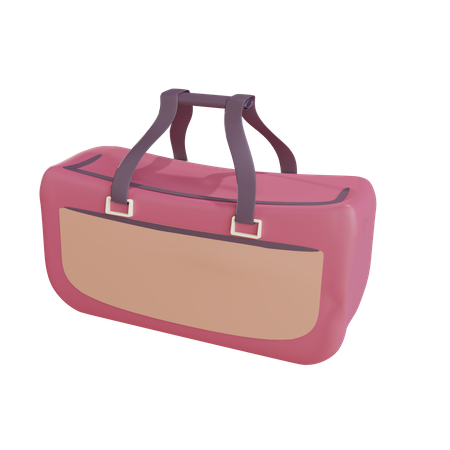 Gym Bag  3D Illustration