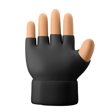 Gym Glove  3D Icon