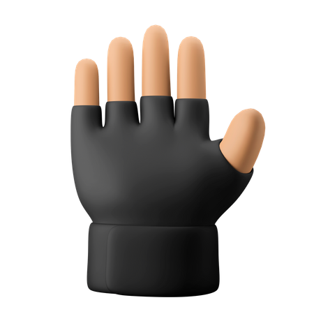 Gym Glove  3D Icon
