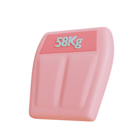 Gym Scale  3D Icon