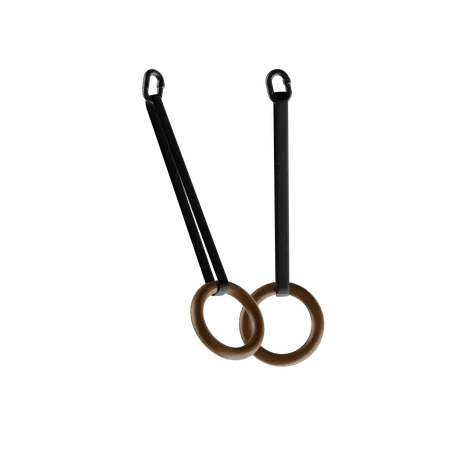 Gymnastic Ring  3D Icon