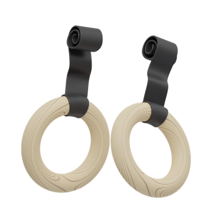 GYMNASTIC RINGS  3D Icon