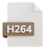 H 264 File