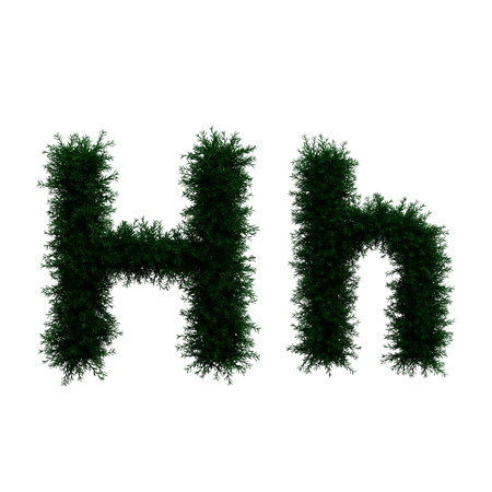 H  3D Icon