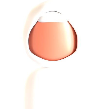 Hajj Woman  3D Icon