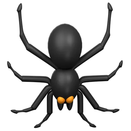 Spider 3 D Icon Illustration 3D Icon