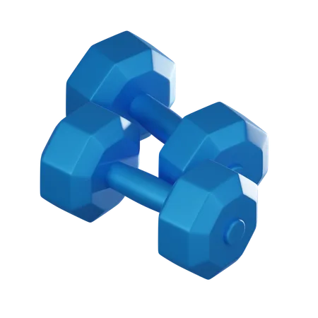 Haltere  3D Icon