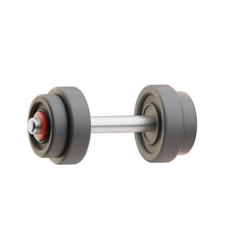 Haltere  3D Icon